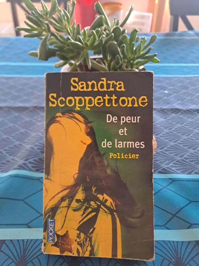 Livre De Peur et de Larmes, Sandra Scoppettone