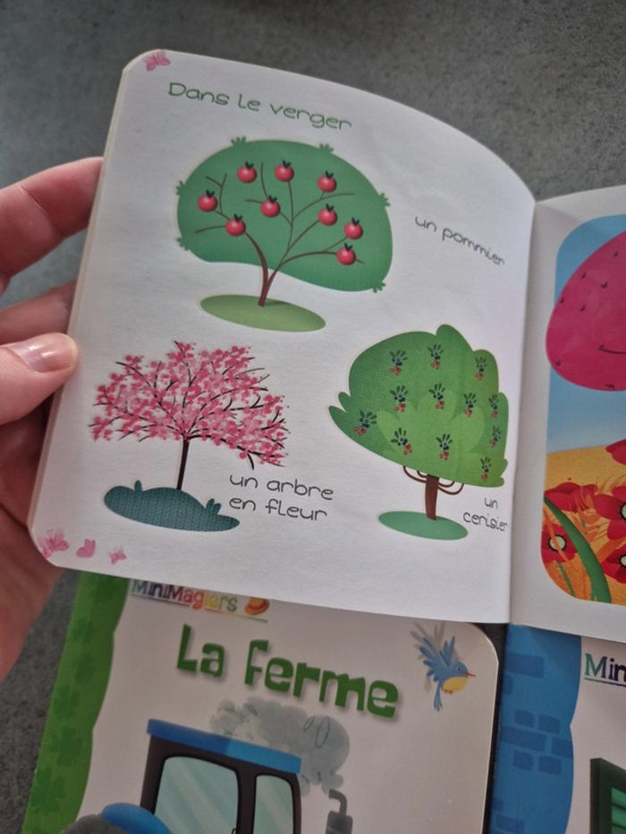 4 livres mini imagiers la ferme, les couleurs, la maison et la nature - photo numéro 4