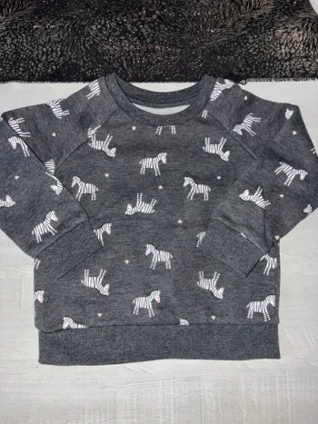 Pull zèbre