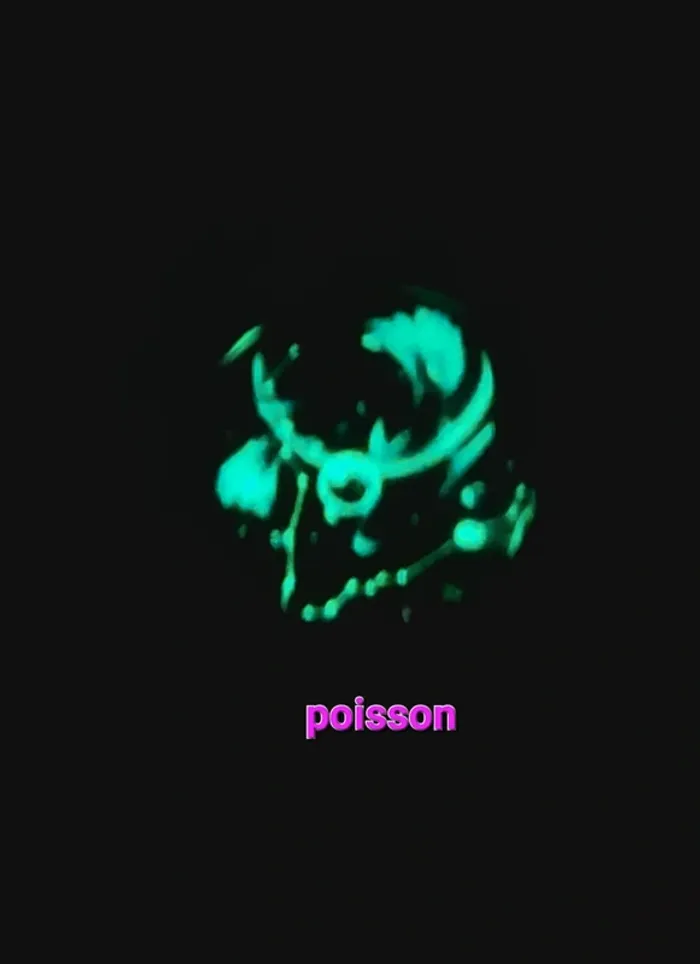 Porte-clés signe astrologique poisson - photo numéro 3