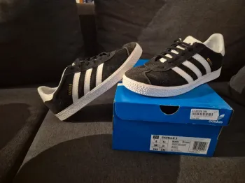 Gazelle J BB2502