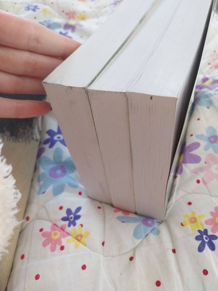 Romans Trilogie Les Maudits tomes 1 à 3 Édith Kabuya - photo numéro 5