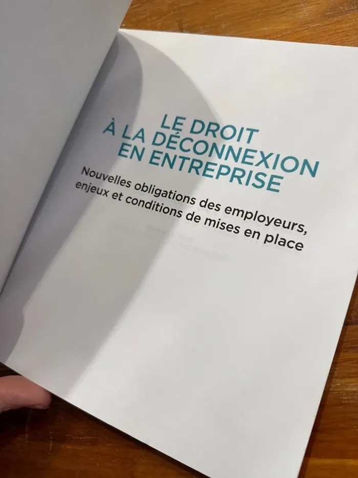 Livre le droit à la déconnexion en entreprise - photo numéro 4