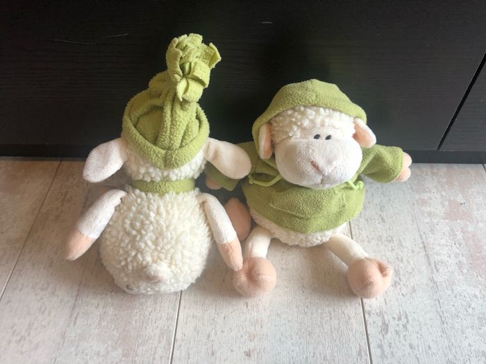 Duo mouton - photo numéro 3