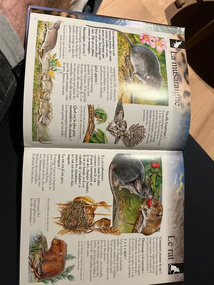 Livre imagia animaux – Éditions Fleurus - photo numéro 3