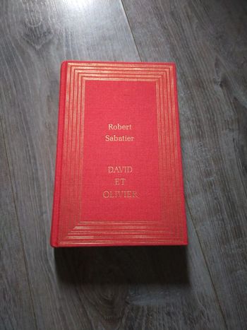 David et Olivier de Robert Sabatier