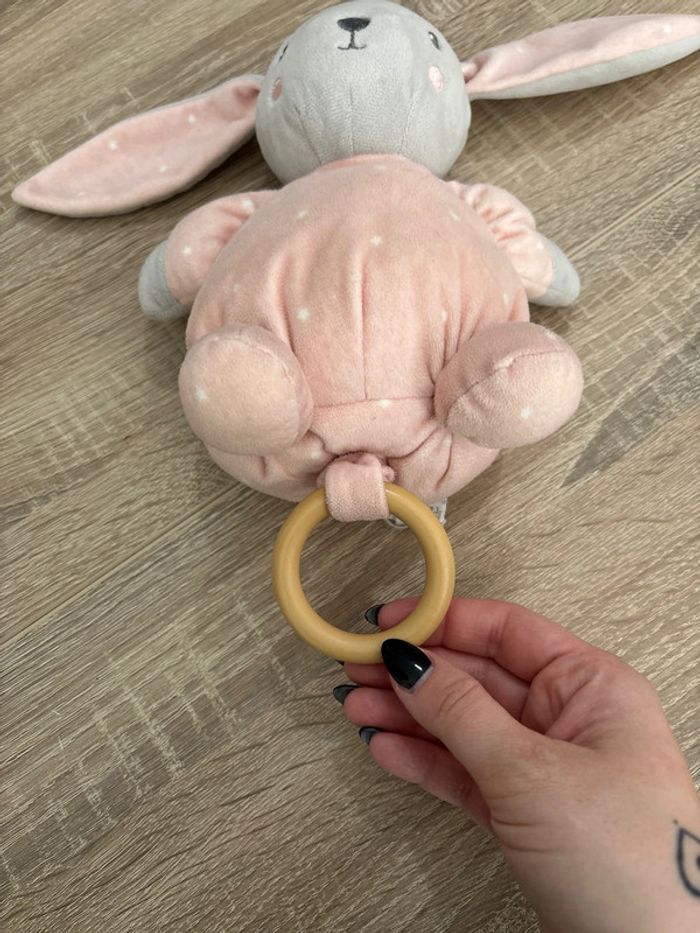 Lapin musical - photo numéro 3