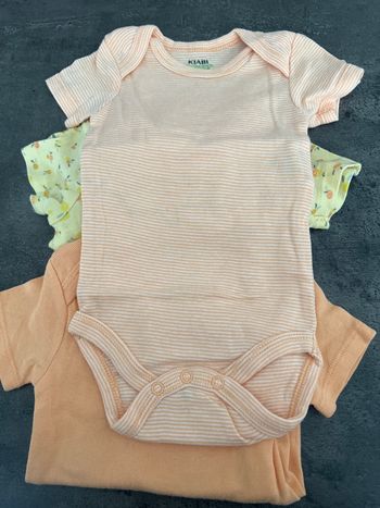 Lot de 3 bodies manches courtes