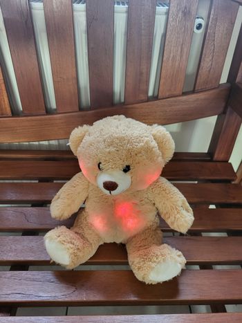 Peluche ours 🧸 🐻