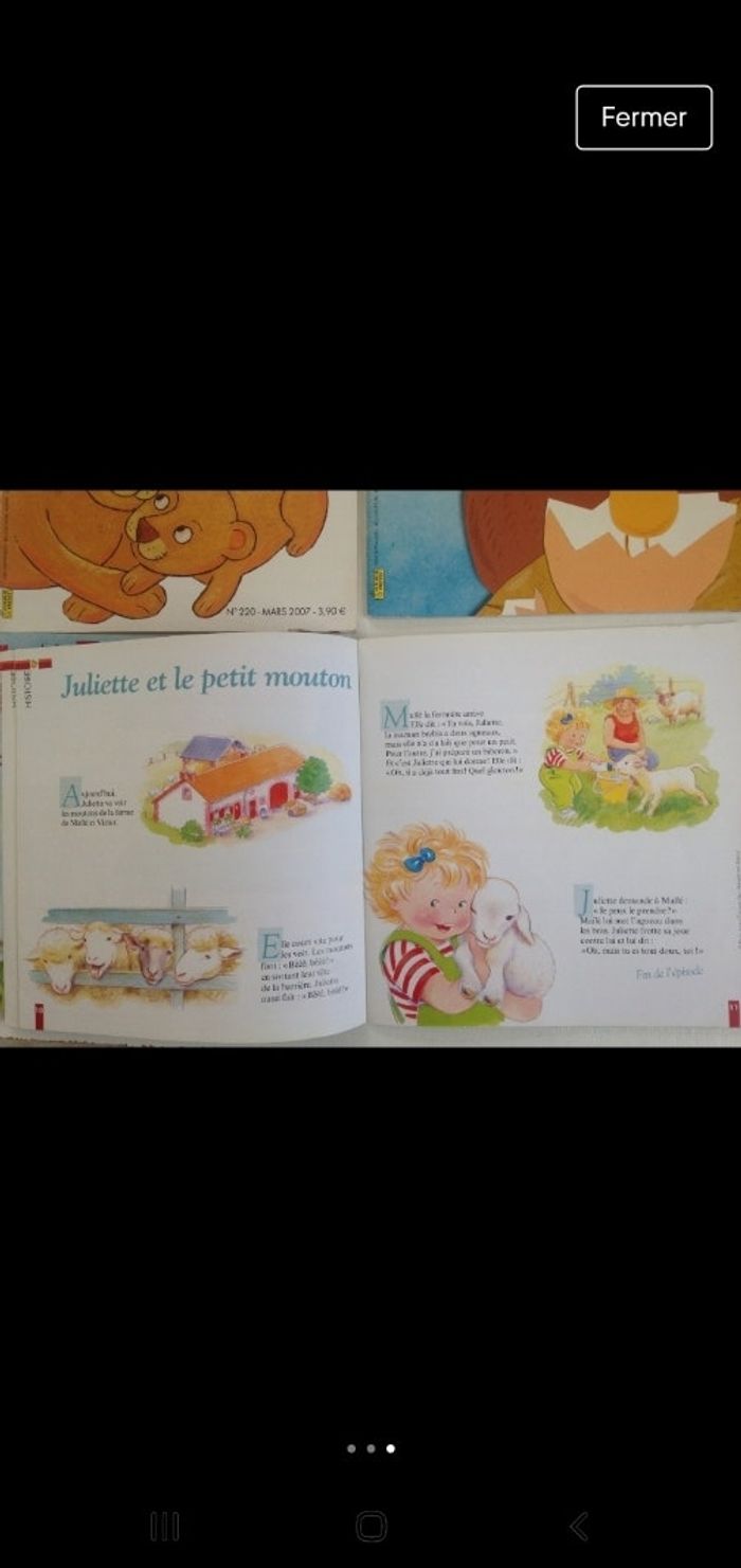 Abricot 2007 - photo numéro 3