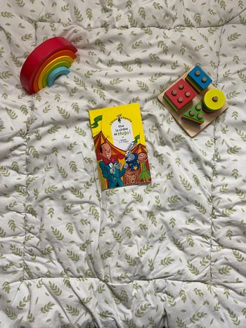 livre l'école d'agathe vive le cirque de Hugo tome 42