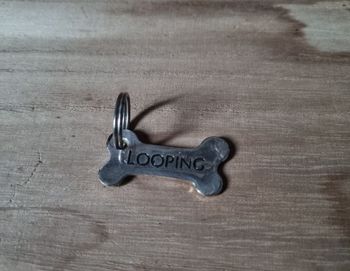 Médaille collier pour chien Looping