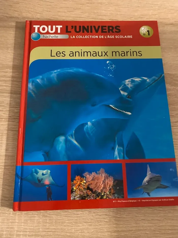 lot de six gros livre pour enfants/ado, apprentissage de la vie et du monde - photo numéro 10