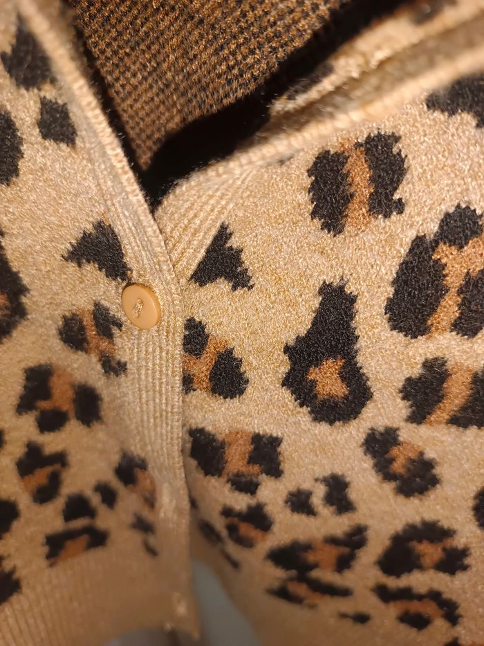 Gilet léopard - photo numéro 4
