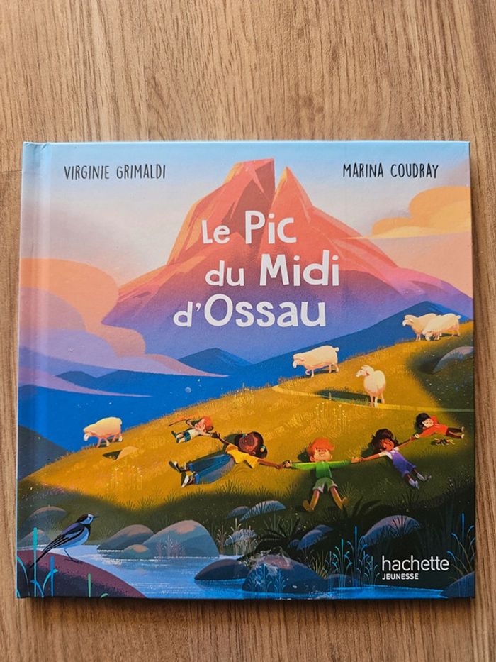 Lot de 9 livres hachette jeunesse lecture du soir - photo numéro 8