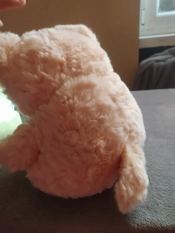 Peluche - photo numéro 2