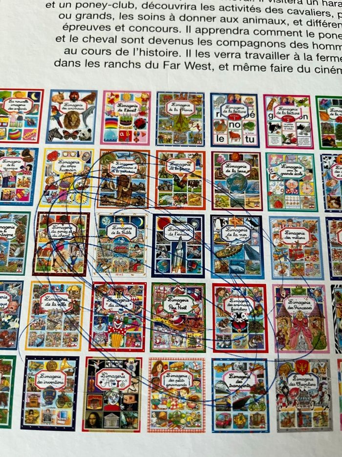 L’imagerie du poney et du cheval  FLEURUS - photo numéro 7