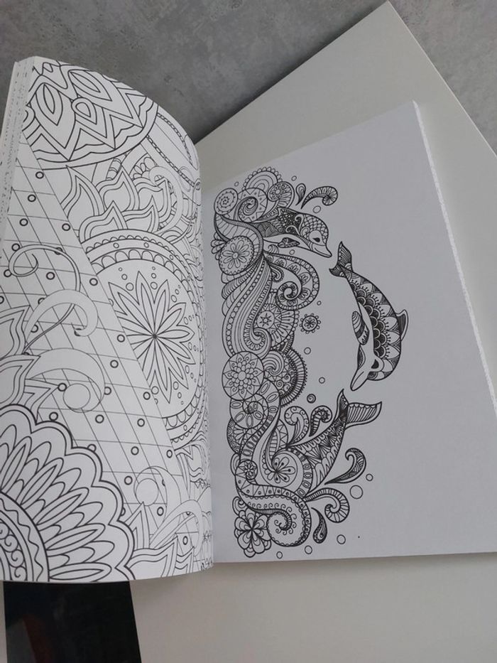Livre coloriage pour adulte anti stress - photo numéro 7