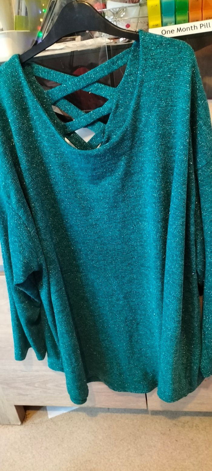 Pull grande taille - photo numéro 2