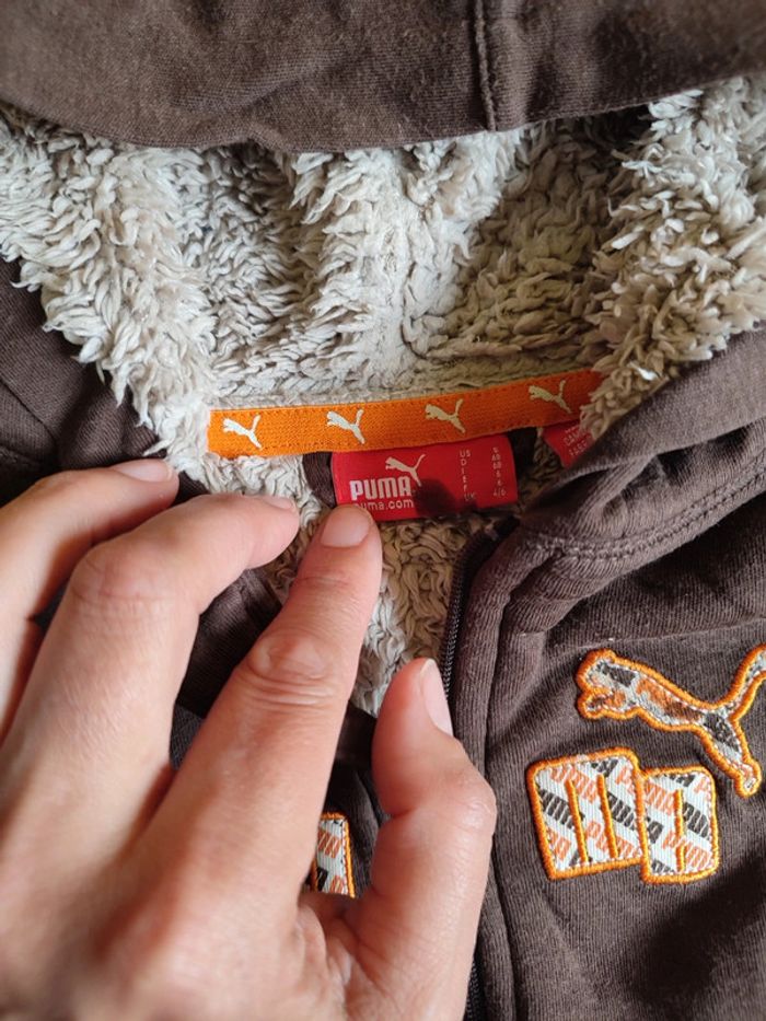 Lot ensemble Jeans souple + t-shirt manches courtes + sweat zippé à capuche en 6M - photo numéro 9