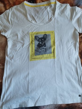 Tee-shirt motif chihuahua 