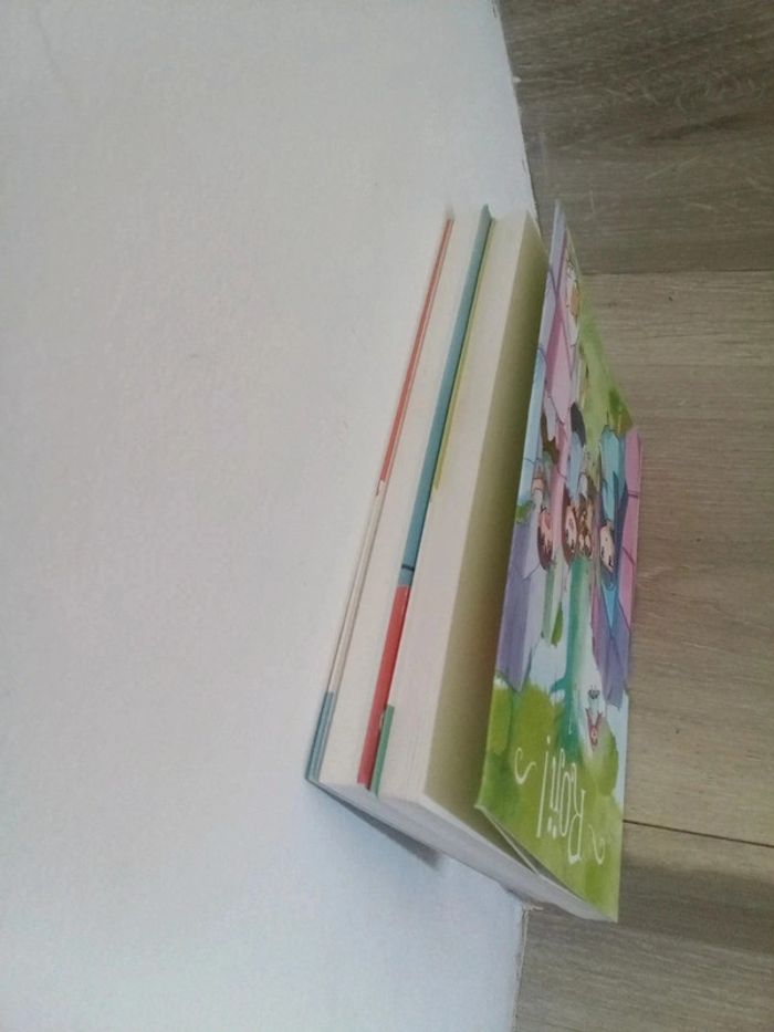 Roji 1 et 3 - photo numéro 7