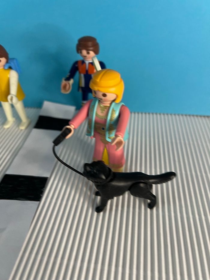 Lot de playmobil - photo numéro 3