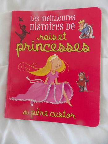 Les meilleurs Histoire de rois et princesse du père castor