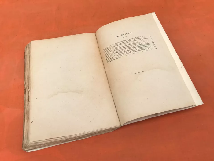 Dr Paul Carton L' Art Médical (1943) L' individualisme des règles de santé L' orientation sanitaire - photo numéro 5