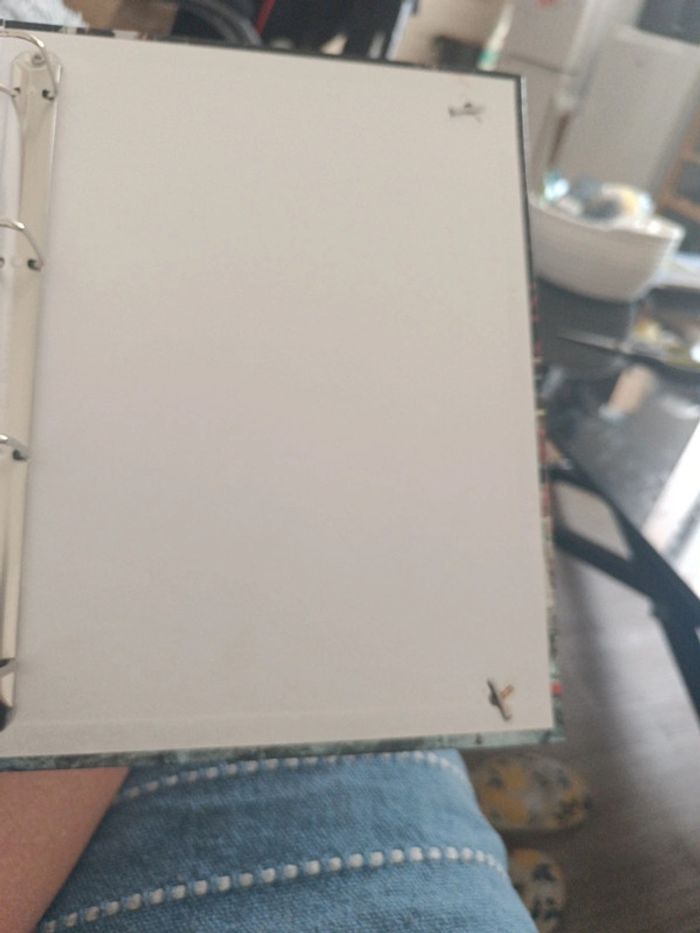 Classeur a4 - photo numéro 6