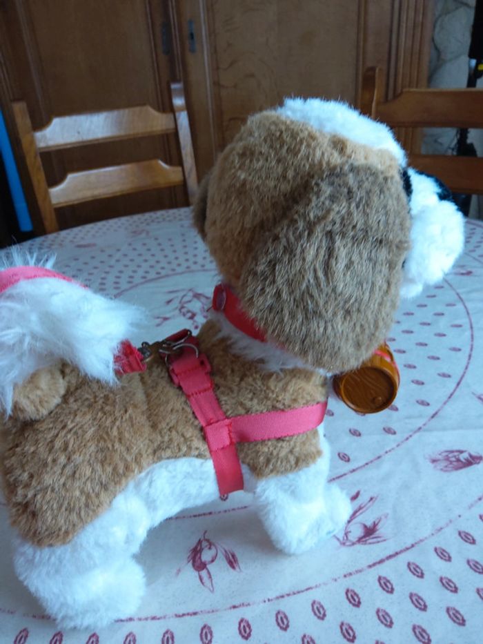 Chien de montagne - photo numéro 3