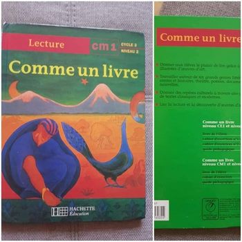 Livre cm1