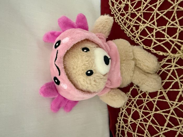 doudou ours déguisé