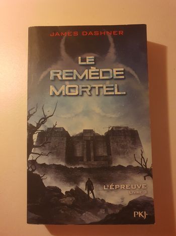 Livre le Labyrinthe 3