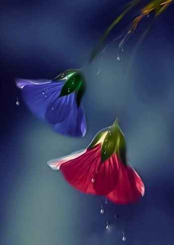 Réserver pour Estelle 