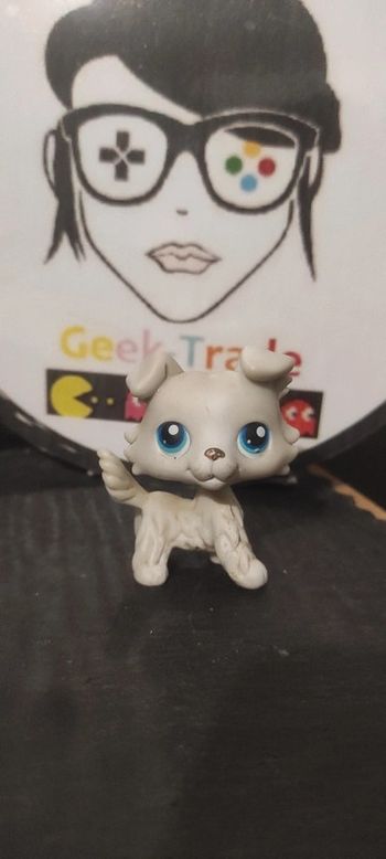 My Littlest Petshop LPS Pet Shop Hasbro Dog Collie Colley 363 Chien Authentic