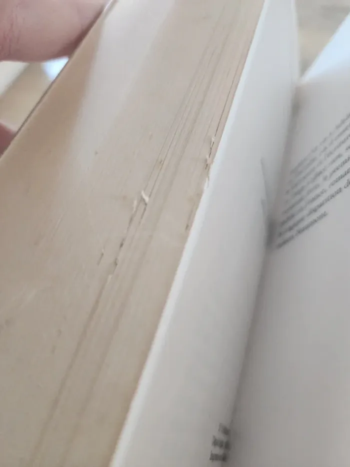 Livre broché "le temps n'efface rien" de Stephen Orr - photo numéro 8