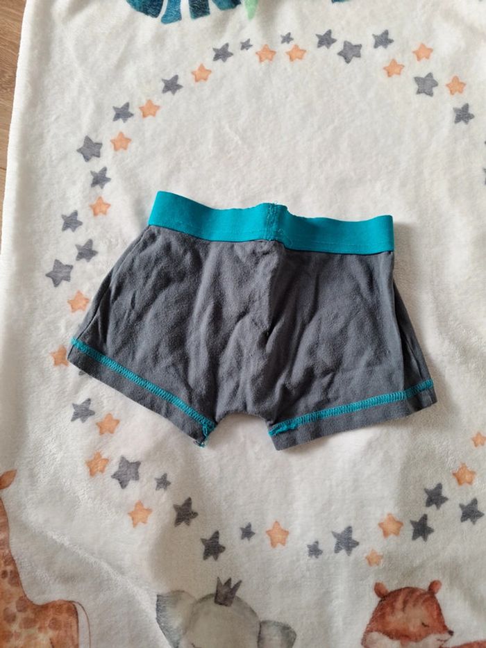 Boxer 4 ans - photo numéro 2