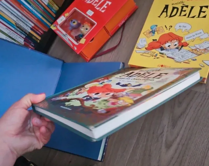 Livres et coffrets mortelle adele - photo numéro 5