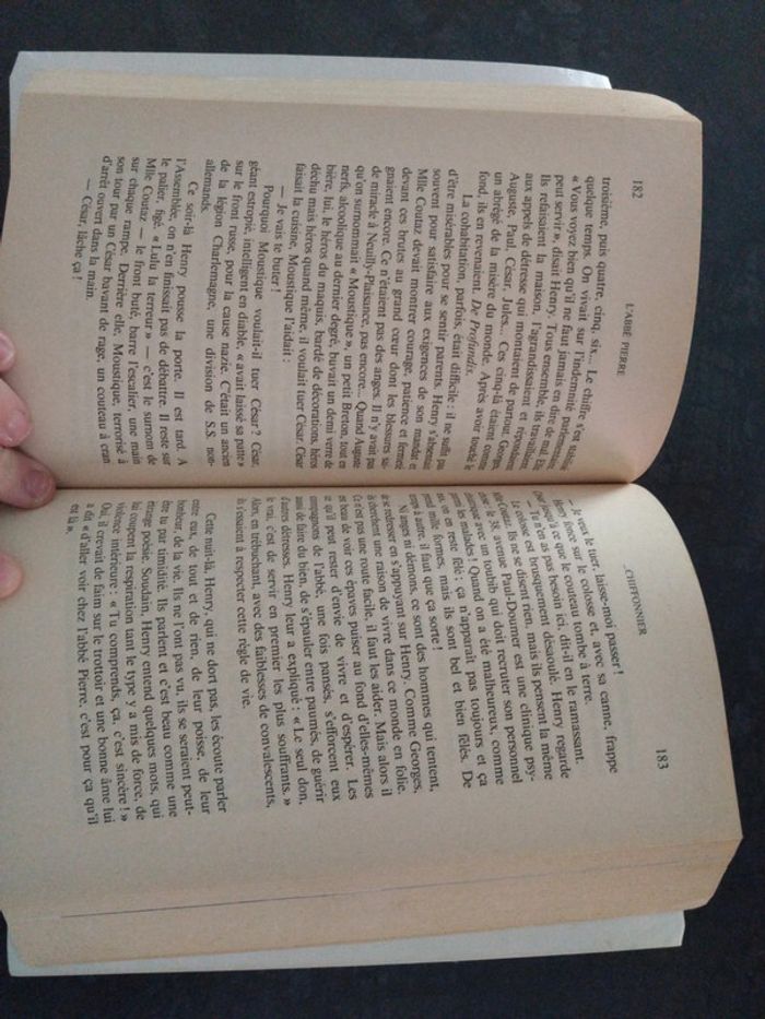 L'abbé Pierre l'insurgé de Dieu - photo numéro 3