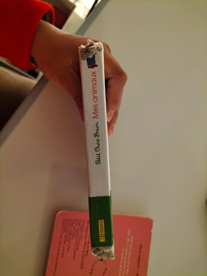 2 livres petit ours brun - photo numéro 3