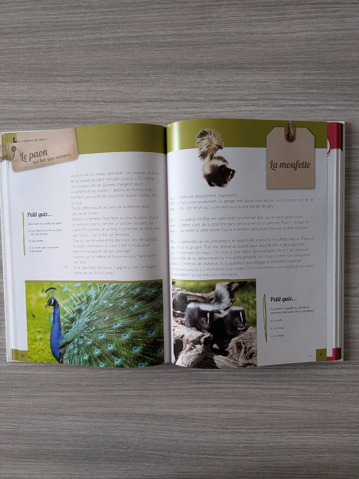 Livre pile poil au top - photo numéro 3