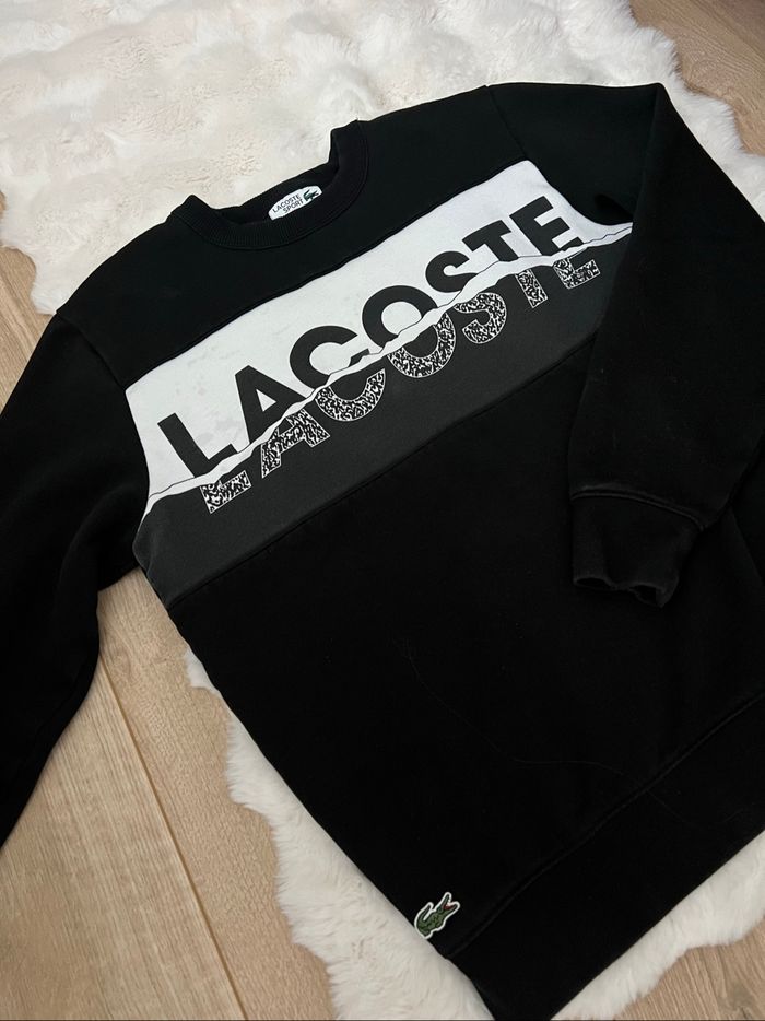 Sweat lacoste