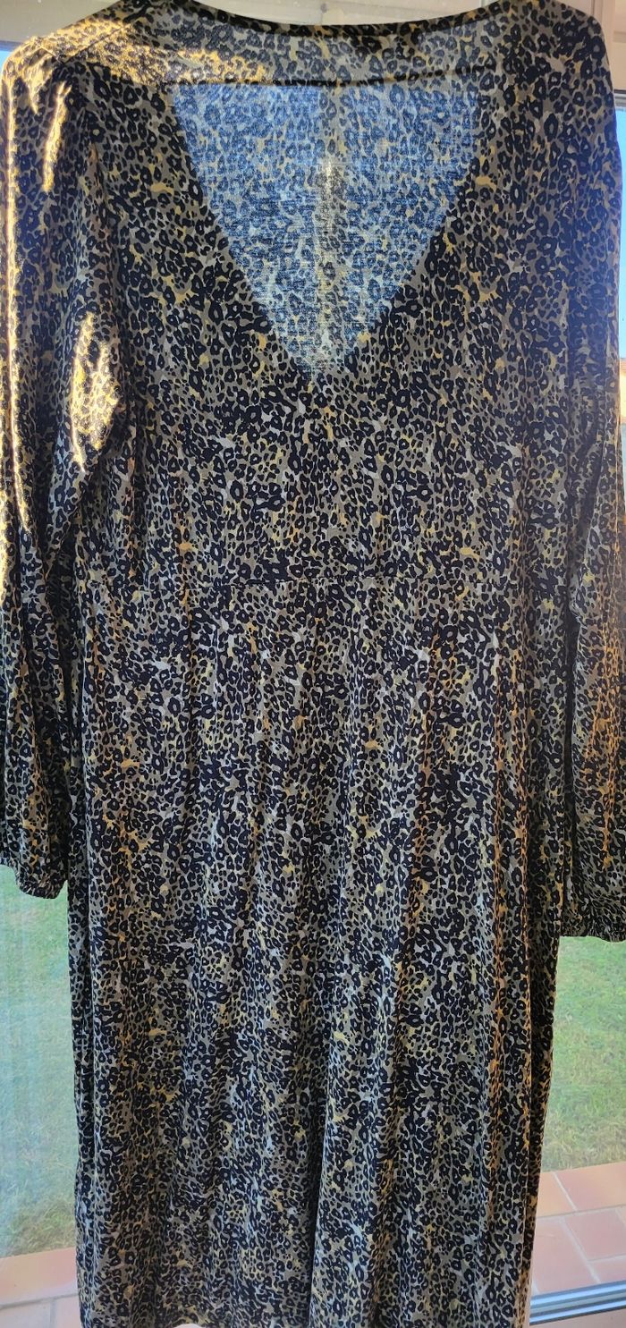 Robe - photo numéro 3