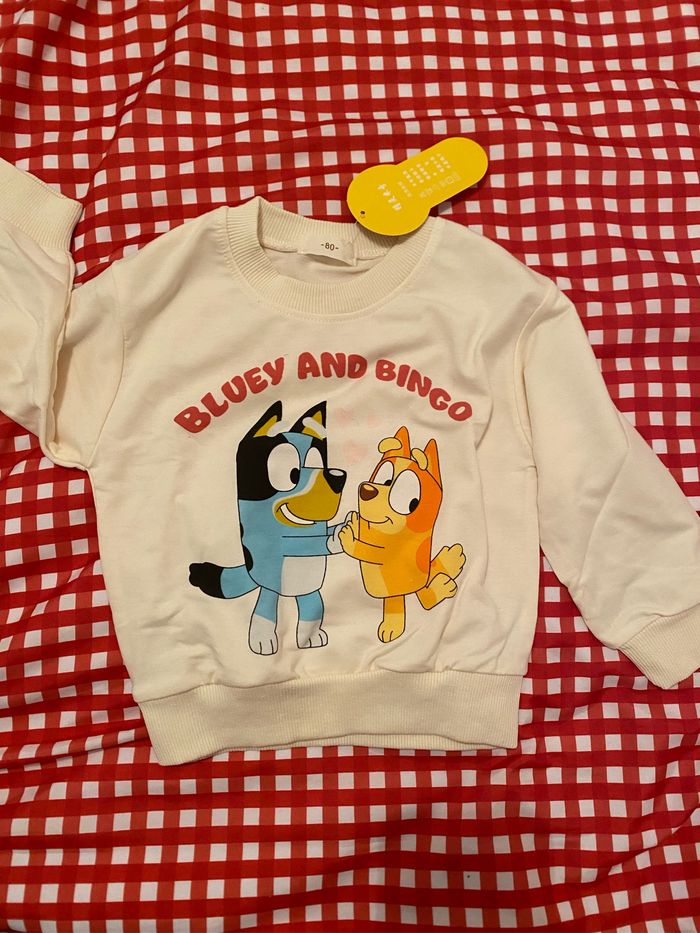 Sweat bluey