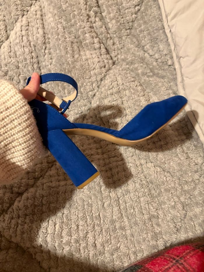 Talons bleus - photo numéro 2