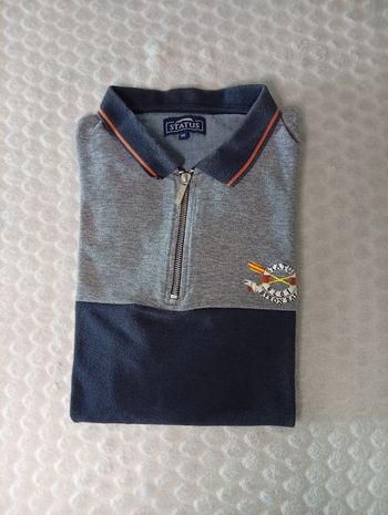 Polo status