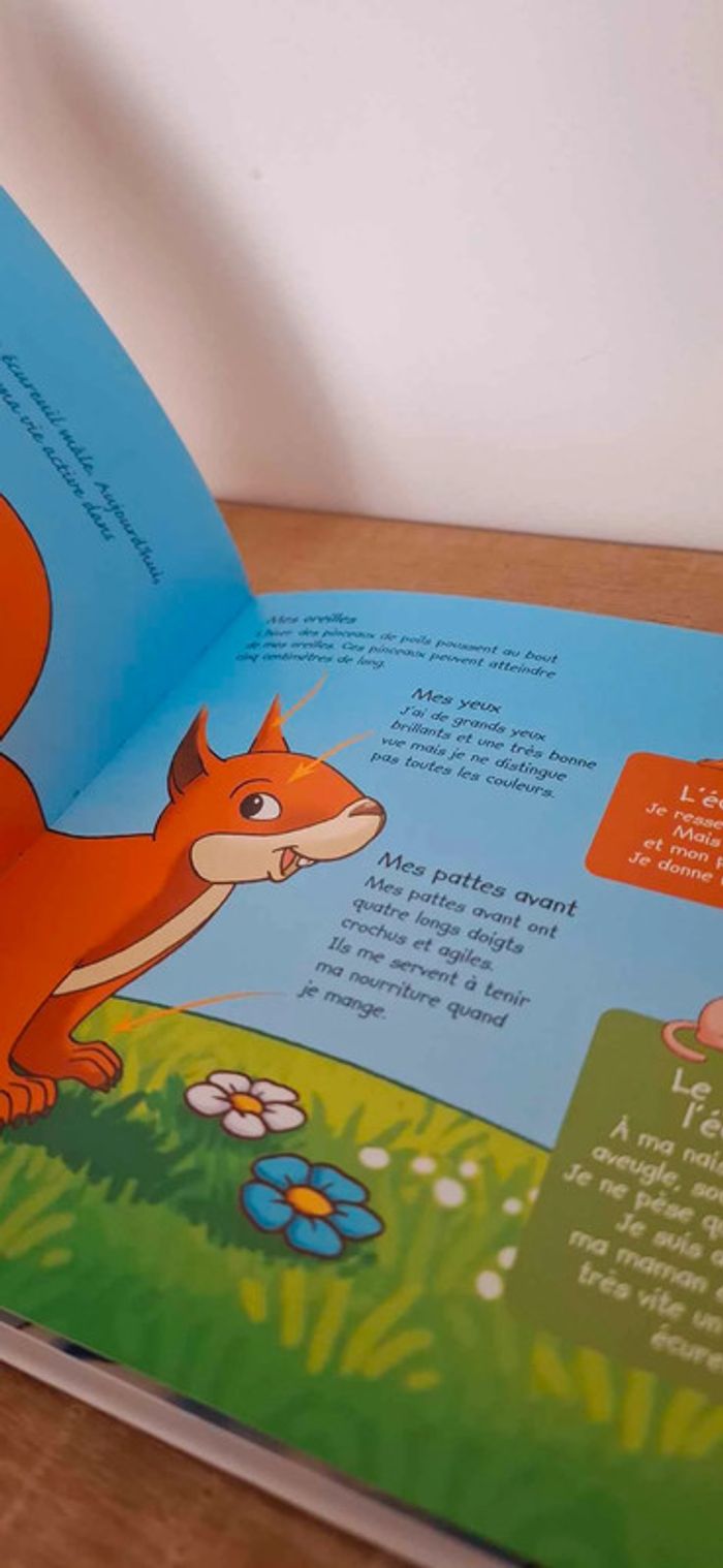 Livre écureuil - photo numéro 3