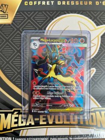 Mega Lucario ex 160 / 132