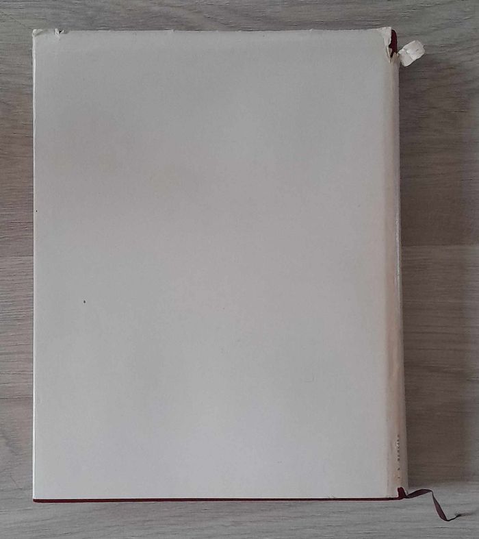 histoire illustrée de la femme tome 3 la femme aujourd'hui - photo numéro 9